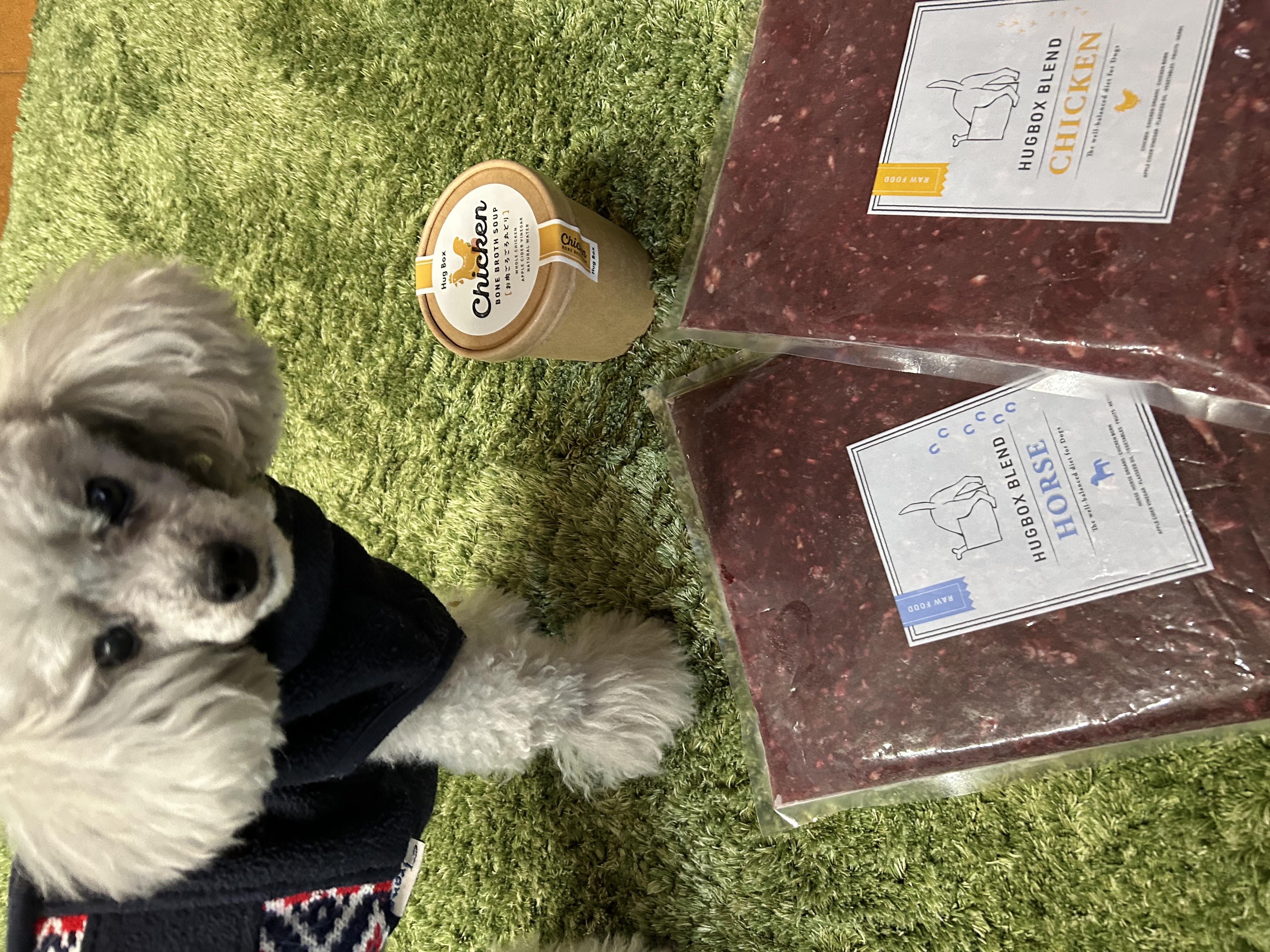 HUGBOX（ハグボックス）のごはんを見つめるアトムくん